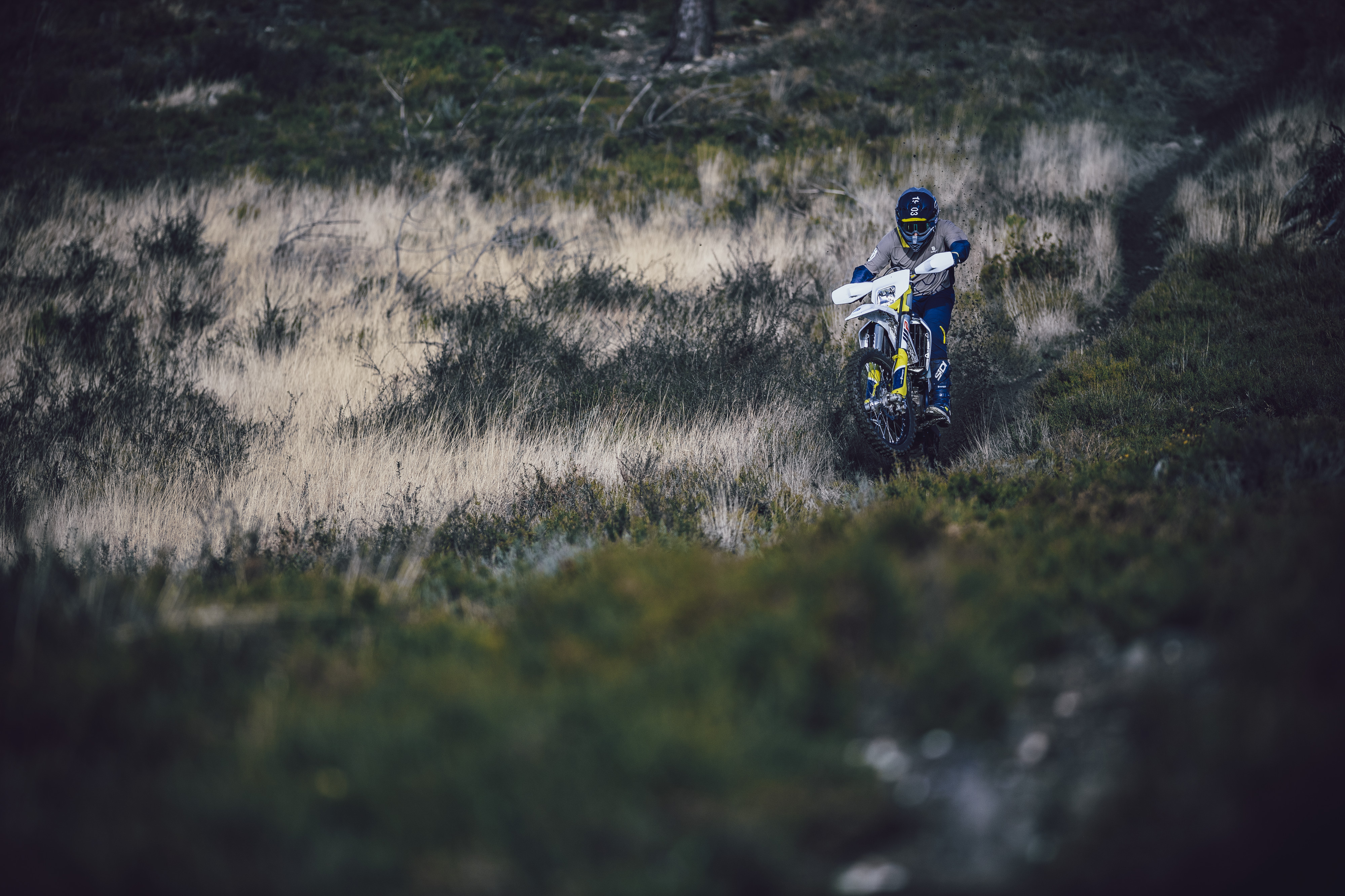 Husqvarna Modellreihe 2021