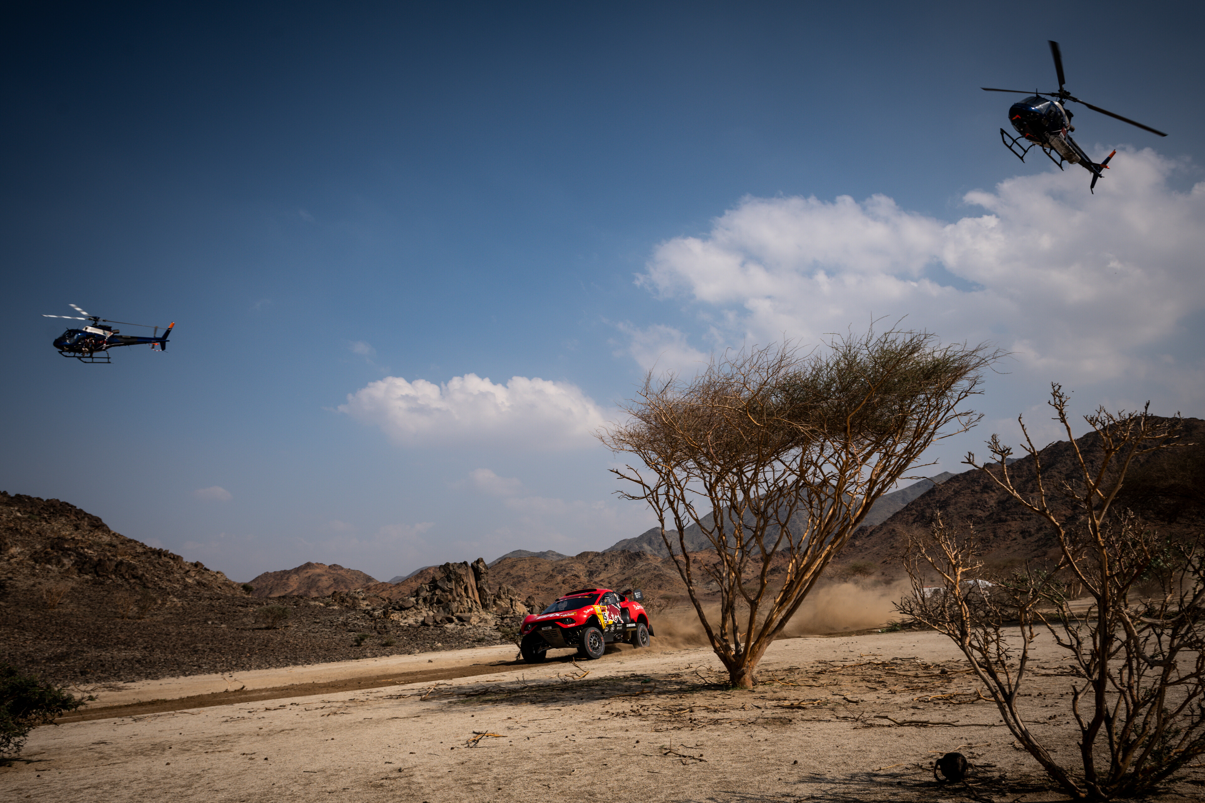 Sebastian Loeb