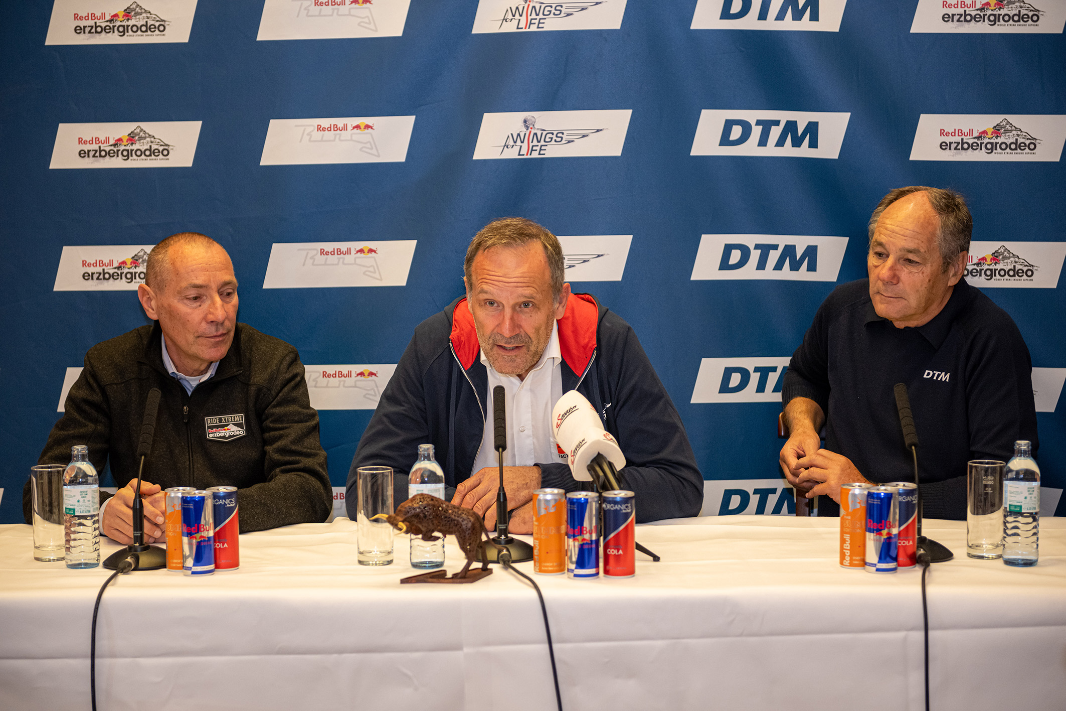 DTM Gerhard Berger, Heinz Kinigadner, Karl Katoch