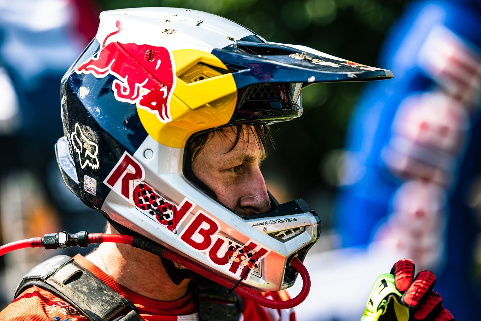 Michael Walkner Red Bull 