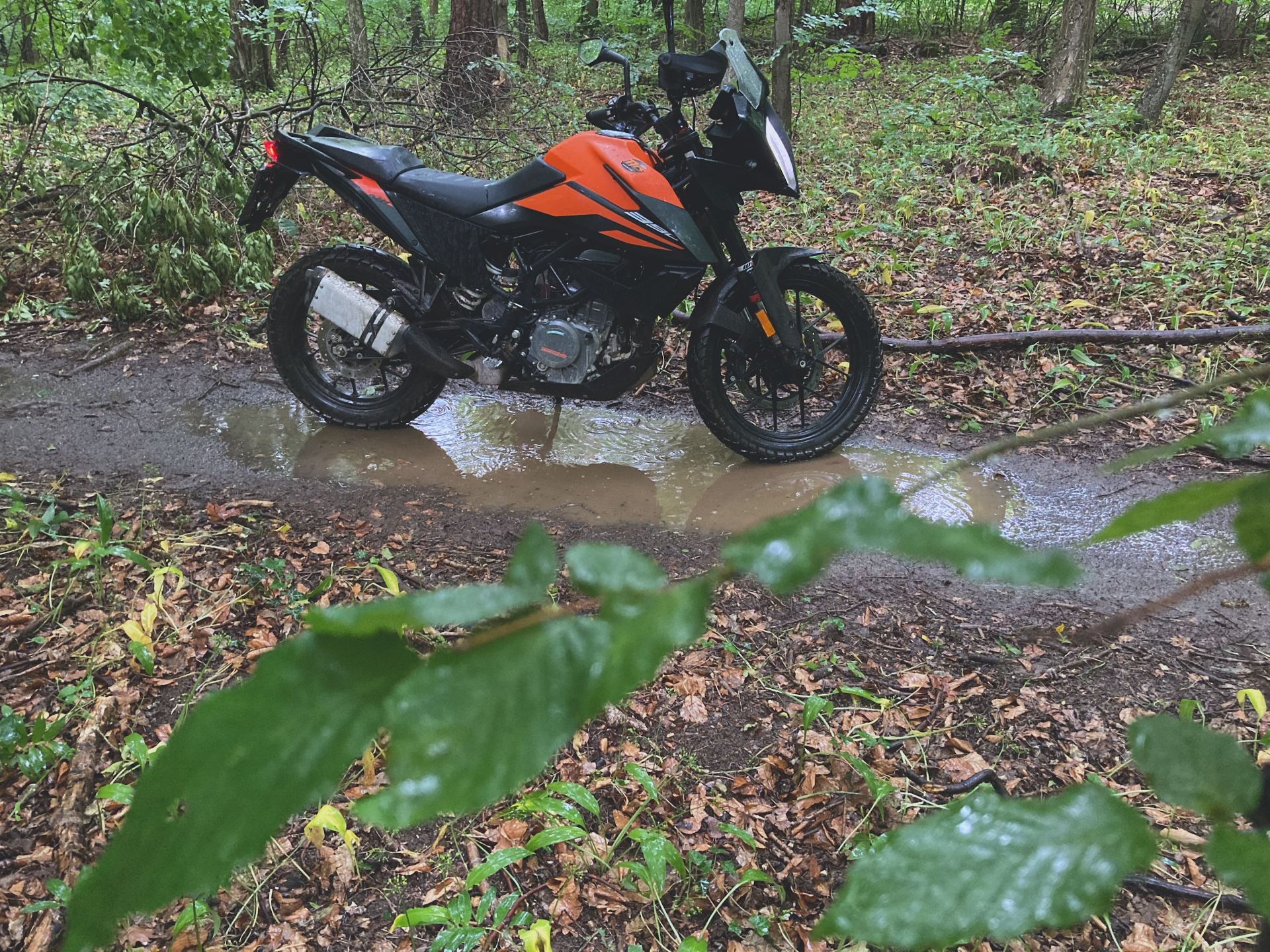 ktm