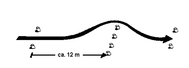 Bremsen und Ausweichen