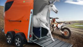 Der lässige Transporter präsentiert sich in 16 verschiedenen Farbtönen und deckt somit alle Arten von Pferdestärken ab!