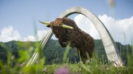 Red Bull Ring mit „Drei Sternen” für Nachhaltigkeit am Start