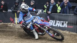 Rotes Aufgebot in der Arena – Beta-Power in Belgrad