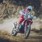 GasGas RC 450F