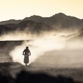 Toby Price - KTM 450 RALLY - 2020 Dakar Rally