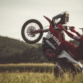 Daniel Sanders - GASGAS Factory Racing - RC 450F