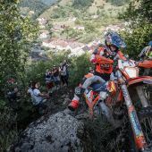 Manuel Lettenbichler - Red Bull KTM Factory Racing 