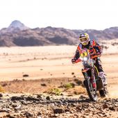 Toby Price - Red Bull KTM Factory Racing - 2023 Dakar Rally 