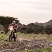Toby Price - Red Bull KTM Factory Racing - 2023 Dakar Rally  