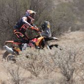 Kevin Benavides - Red Bull KTM Factory Racing - 2023 Sonora Rally