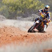 Toby Price - Red Bull KTM Factory Racing - 2023 Sonora Rally