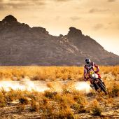 Daniel Sanders - Red Bull GASGAS Factory Racing - 2024 Dakar Rally