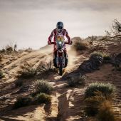 Daniel Sanders - Red Bull GASGAS Factory Racing - 2024 Dakar Rally