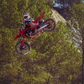 MC 250F 