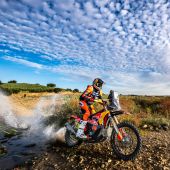 Red Bull KTM Factory Racing - 2025 Rally Raid Portugal