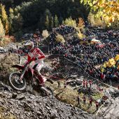 Andrea Verona - GASGAS Factory Racing 