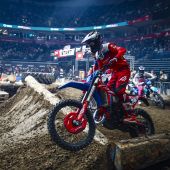 Rotes Aufgebot in der Arena – Beta-Power in Belgrad