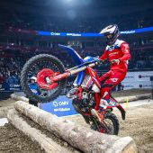 Rotes Aufgebot in der Arena – Beta-Power in Belgrad