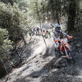 Lettenbichler holt Sieg bei Alestrem