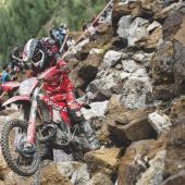 Bilder: Andrea Belluschi 
