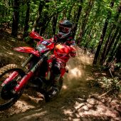 Michael Walkner: 3. Mal ital. Meister und Endurowordranking.com Nationenwertung Österreich TOP 1