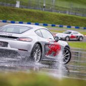120 schnelle Ladies eroberten den Red Bull Ring