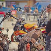 Rollin Dudes Festival 2019