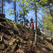Inmitten der niederösterreichischen Voralpen entstand ein Enduropark, der jeden bisher gekannten Rahmen sprengt und dem Enduro Freizeitsportler wie dem Enduro Profi atemberaubende Strecken bietet.
