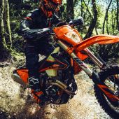 KTM 800 EUR Offseoson Bonus