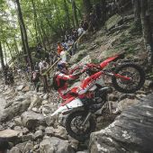 Unser GASGAS Factory Racing Junior Michael Walkner konnte im Knockout-Finale den 12. Platz belegen und somit weitere wertvolle internationale Hard Enduro-Erfahrung sammeln.