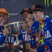 Tony Cairoli und Mattia Guadagnini feierten den Sieg für ihr Land auf heimischem Boden, Jeffrey Herlings dominierte zwei der drei Rennen in Mantova für die Niederländer und Rene Hofer holte den ersten Platz in der MX2-Klasse für Österreich.