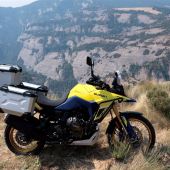 Die V-Strom-Familie erhält Zuwachs!
