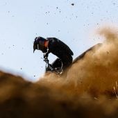 Der Hersteller aus Bologna hat zwei Jahre lang an einem Prototyp gearbeitet, der in der nächsten Saison in der italienischen Motocross-Meisterschaft debütieren wird.