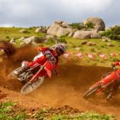 Honda frischt seine Spitzenmodelle im Motocross-Segment für 2025 auf, die CRF250R und die CRF450R. 