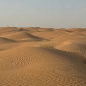 Oft braucht es gar keinen beschreibenden Text, wenn Ergbnisslisten und Bilder alles erzählen!