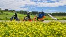 Im Jahr 2026 wird die Vespa 80 Jahre alt und feiert dieses Jubiläum vom 25. bis 28. Juni in Rom mit der größten Party in der Geschichte der legendären Rollermarke. 