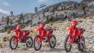 „Ride like an X-PRO“ –Der neue Enduro-Ansatz von Beta hat Fahrer aller Kategorien und Erfahrungsstufen überzeugt.